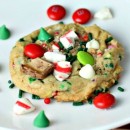 Candy-Cane-Lane-Cookies-close-up342