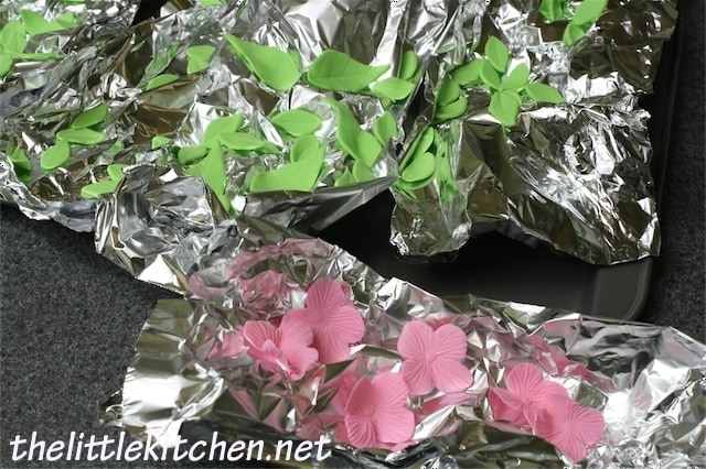 Flowers and Leaves