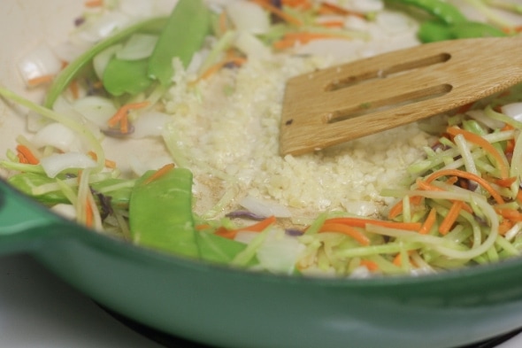 (Easy) Ginger-Garlic Chicken Stir-Fry