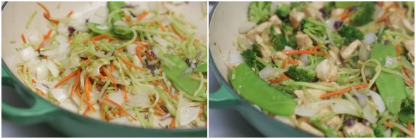 (Easy) Ginger-Garlic Chicken Stir-Fry