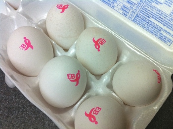 egglands-best