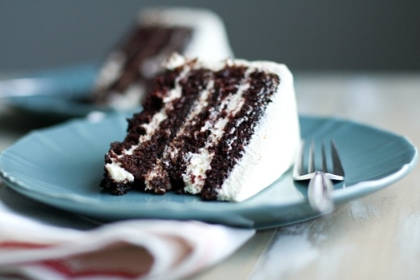 Best Chocolate Cake Ever with Pudding Frosting from thelittlekitchen.net
