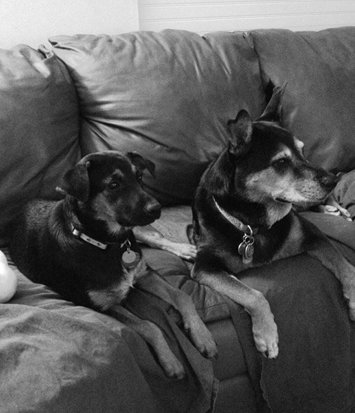 Angel and Charley