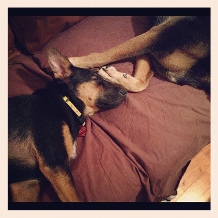 Angel sleeps hard