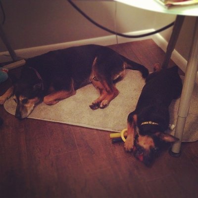 Charley & Angel