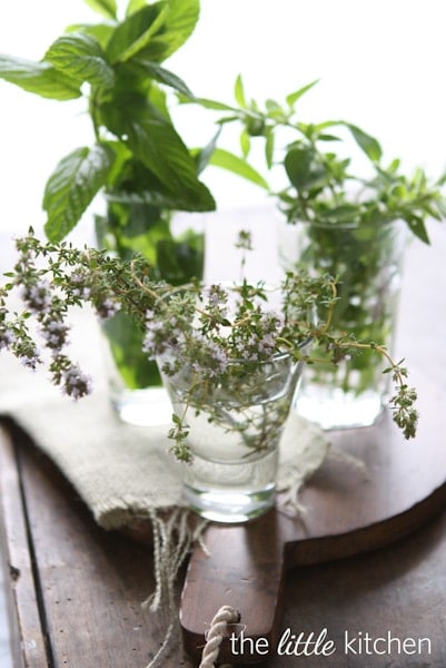 Herbs
