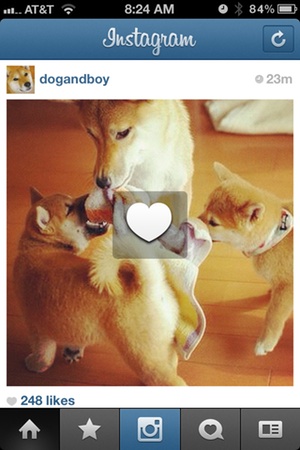 How to like photos on instagram