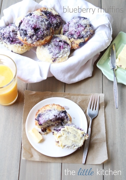 Blueberry Muffins from DualFood