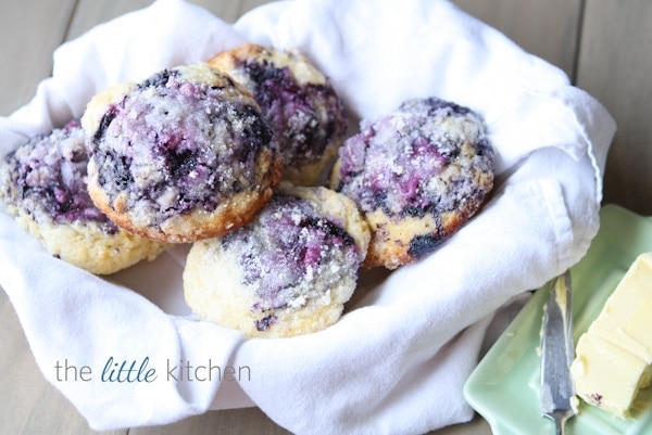 Blueberry Muffins from DualFood