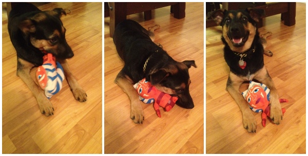 Angel with her new Star Wars toy