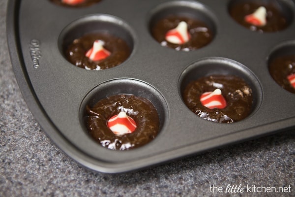 Candy Stuffed Brownie Bites from DualFood
