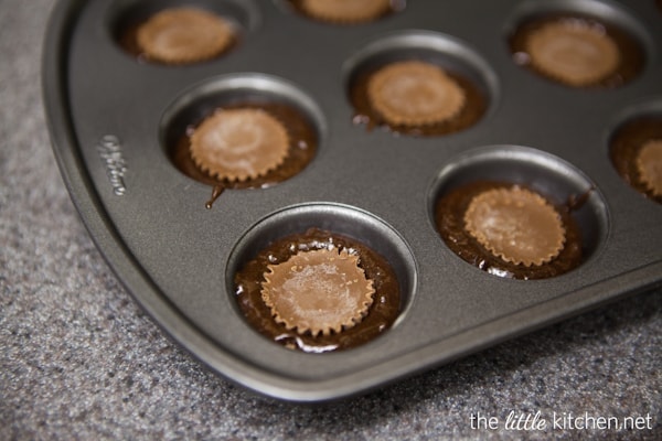 Candy Stuffed Brownie Bites from DualFood