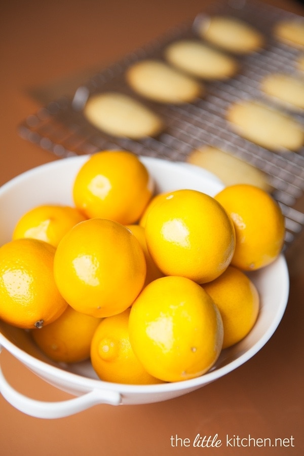 Meyer Lemon Madeleines from DualFood