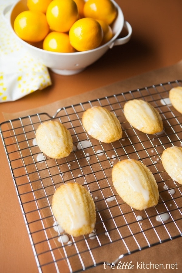 Meyer Lemon Madeleines from DualFood