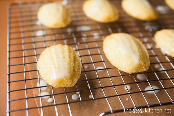 Meyer Lemon Madeleines from DualFood