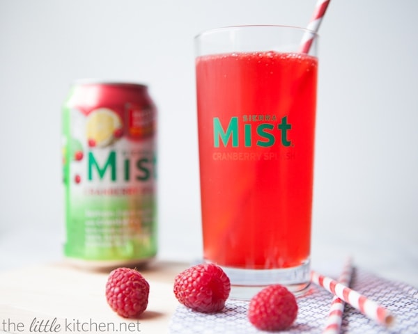 Winter Berry Splash