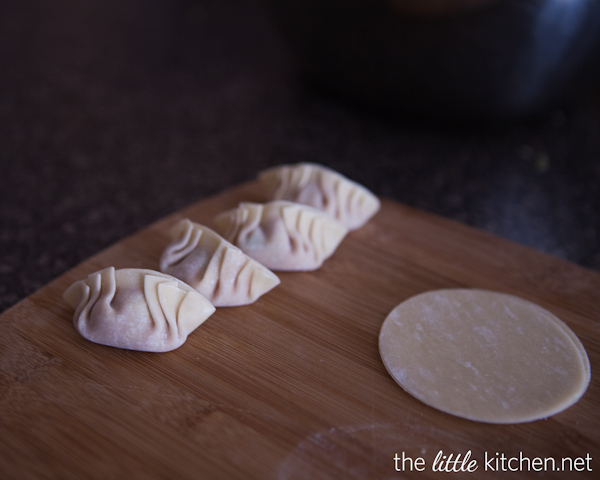How to Make Chinese Potstickers from DualFood
