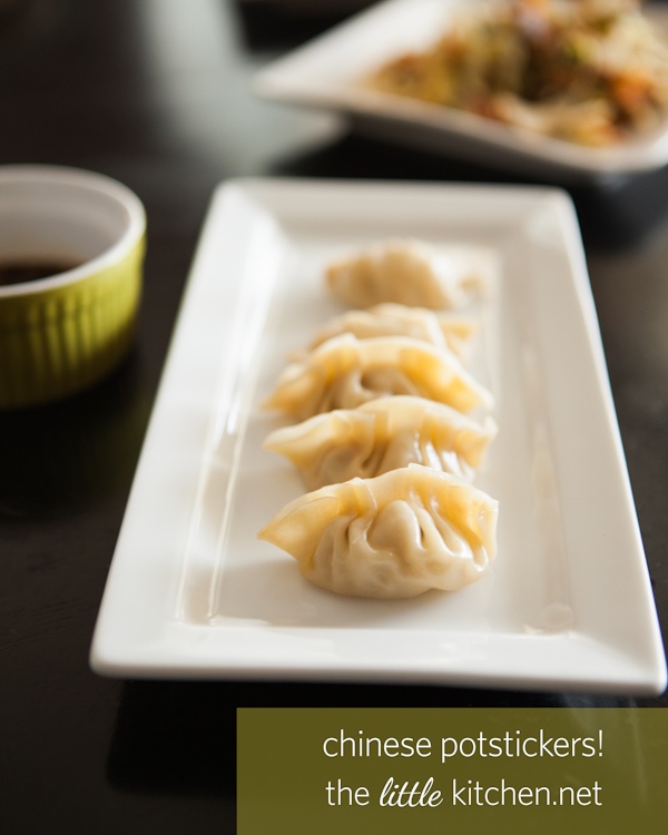 How to Make Chinese Potstickers from DualFood & video!