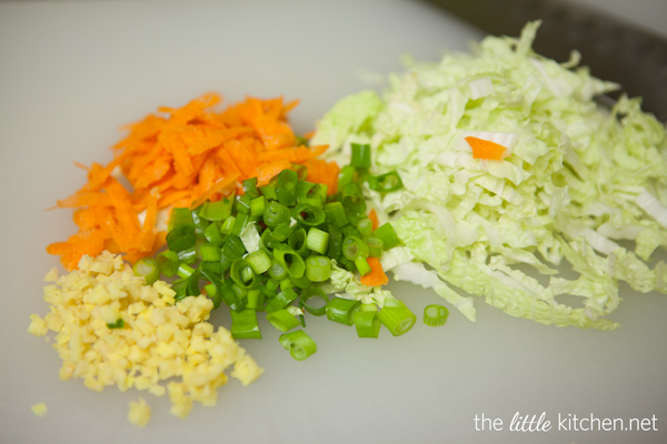 How to Make Chinese Potstickers from DualFood