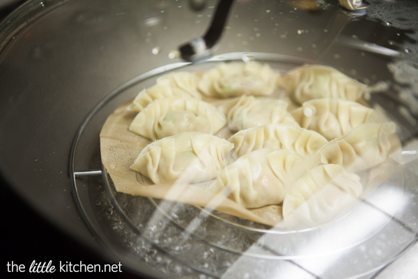 How to Make Chinese Potstickers from DualFood