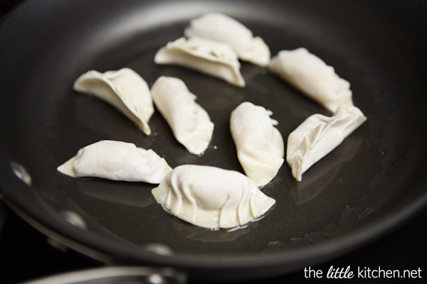 How to Make Chinese Potstickers from DualFood