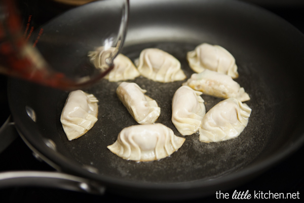 How to Make Chinese Potstickers from DualFood