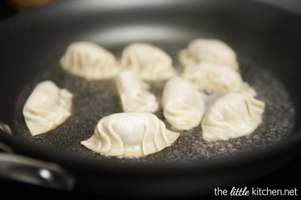 How to Make Chinese Potstickers from DualFood