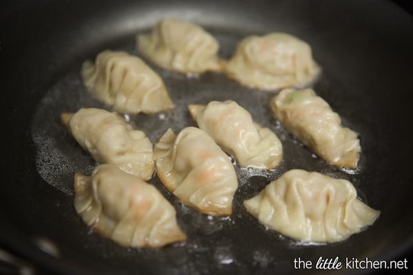 How to Make Chinese Potstickers from DualFood