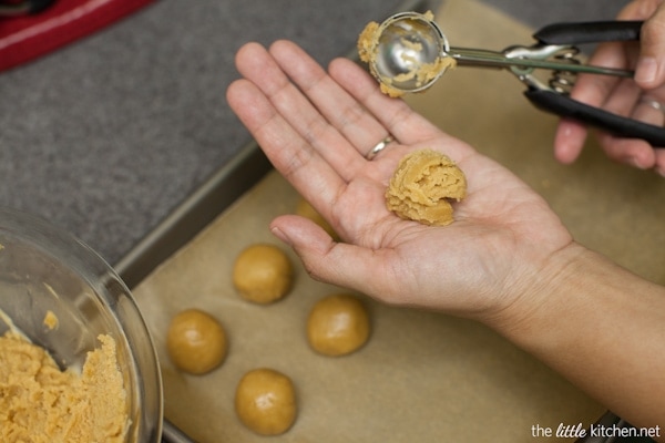 White Chocolate Cookie Butter Truffles from thelittlekitchen.net White Chocolate Cookie Butter Truffles from thelittlekitchen.net