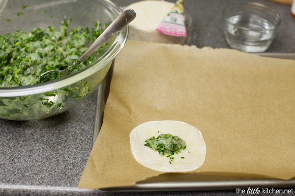 Shrimp & Chive Dumplings from thelittlekitchen.net Shrimp & Chive Dumplings from thelittlekitchen.net