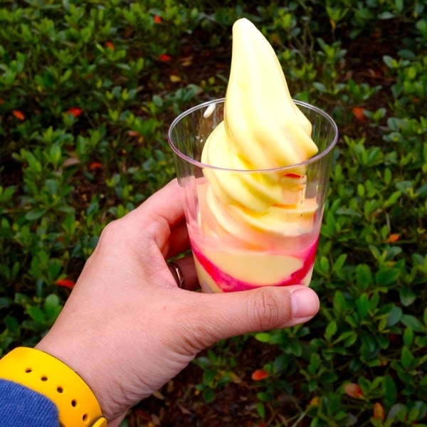 Epcot Flower & Garden Festival Walt Disney World // DualFood Epcot Flower & Garden Festival Walt Disney World // DualFood