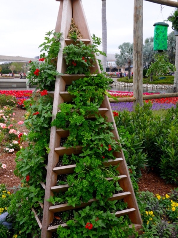 Epcot Flower & Garden Festival Walt Disney World // DualFood Epcot Flower & Garden Festival Walt Disney World // DualFood