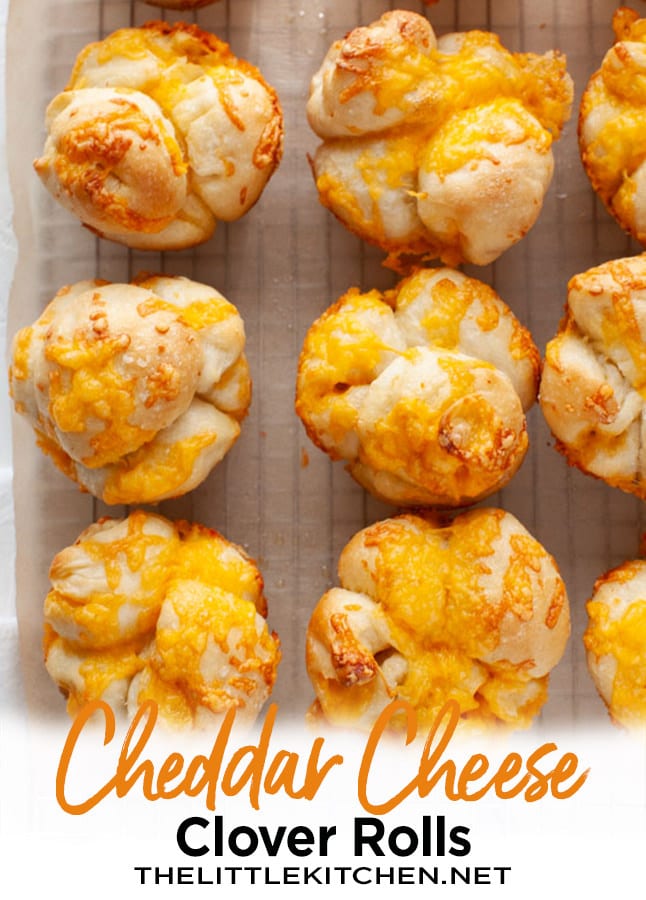Cheddar Cheese Cloverleaf Rolls from thelittlekitchen.net Cheddar Cheese Cloverleaf Rolls from thelittlekitchen.net